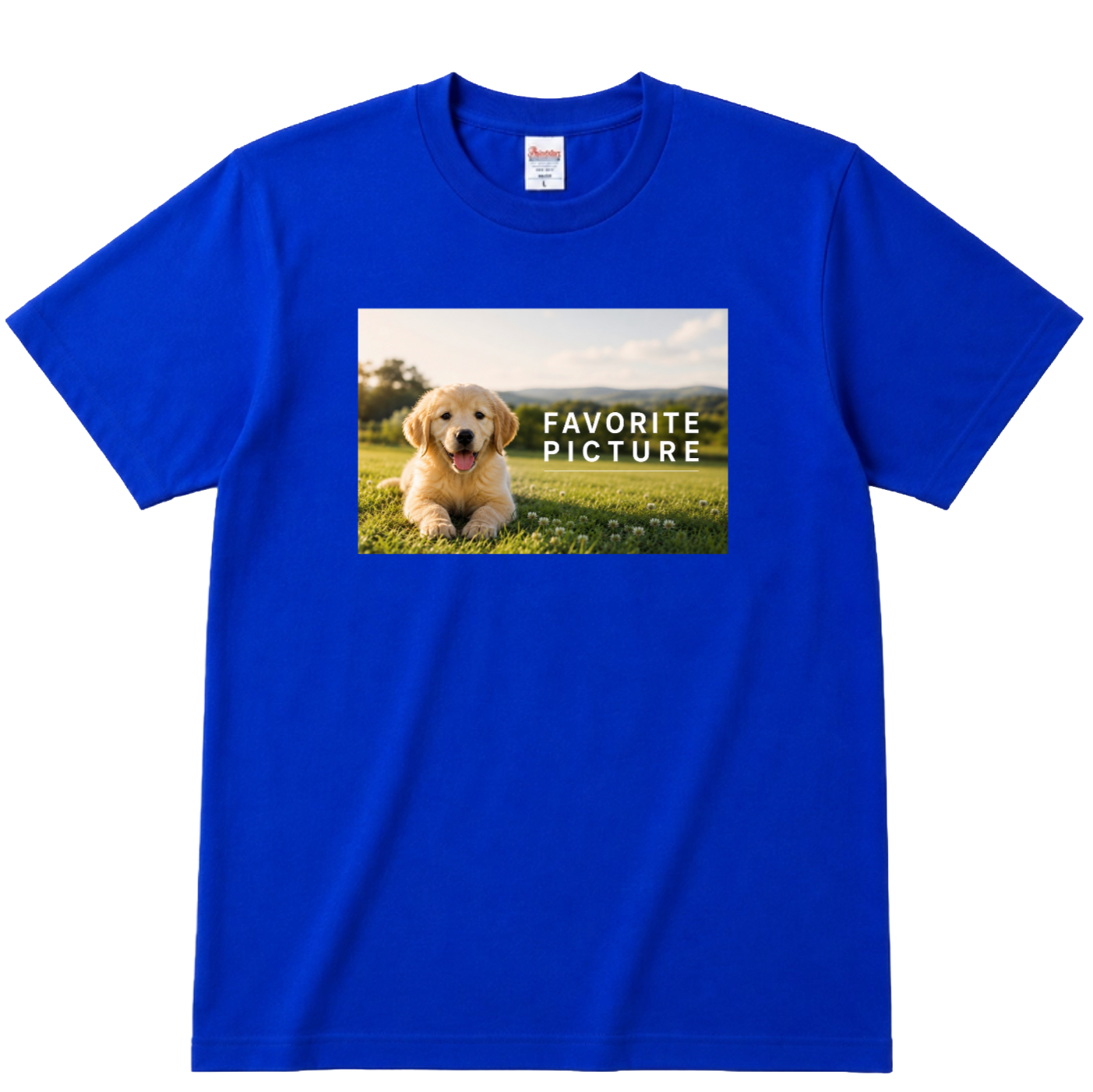 オリジナルTシャツ （Printstar）